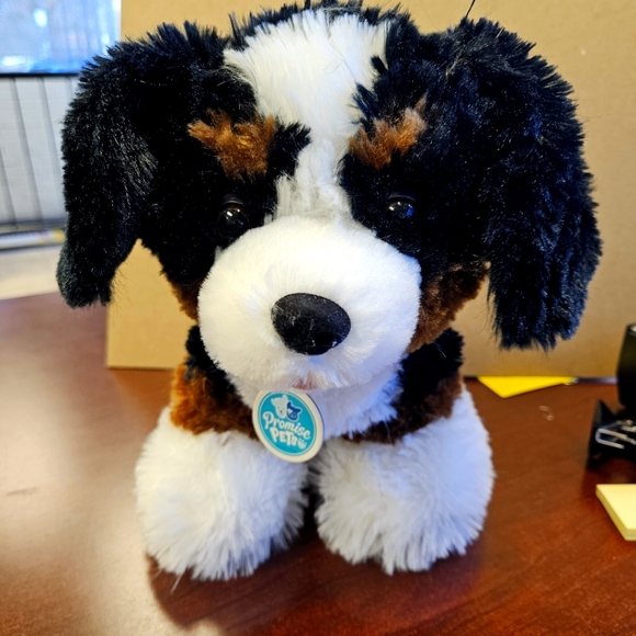 Build A Bear BAB Plush Promise Pets Bernese Mountain Dog - Picture 1 of 6
